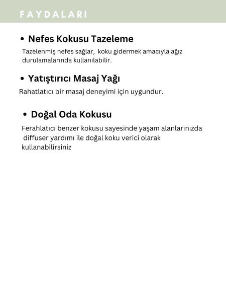 Nane Uçucu Yağı,  % 100 Saf, Katkısız Aromaterapi Yağı 10 ml